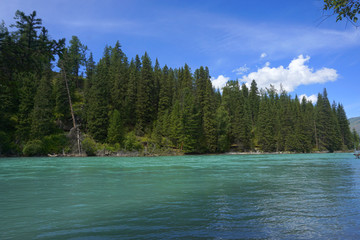 喀纳斯湖湖泊河流自然风光