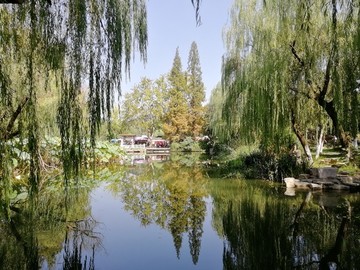 水中倒影