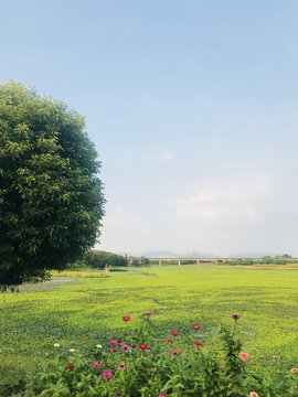自然风景背景图