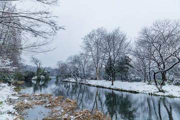 雪景