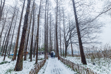 雪景