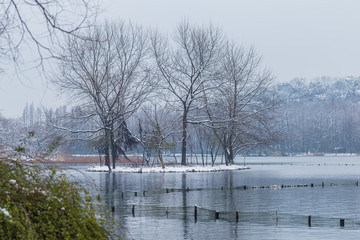 雪景