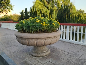 景观花盆