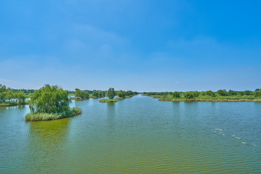 大沙河国家湿地公园