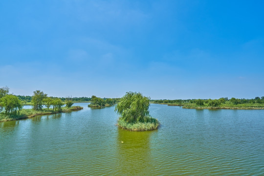大沙河国家湿地公园
