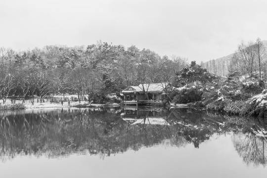 西湖老照片