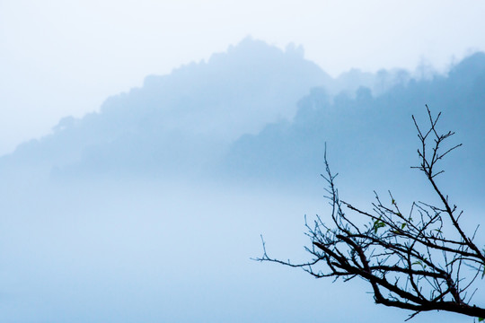 东江湖