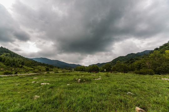 云顶山光影