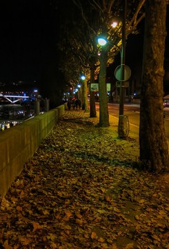 梧桐落叶的巴黎秋夜
