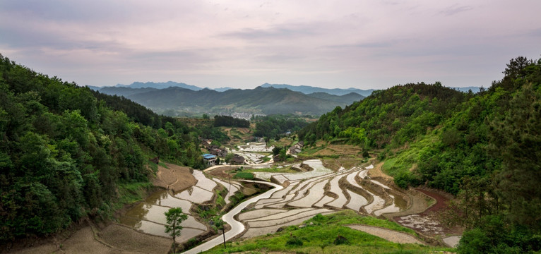 乡村