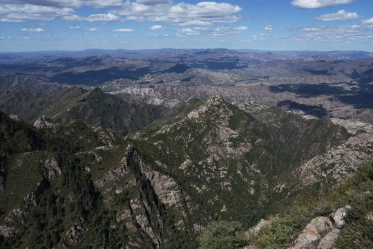 山