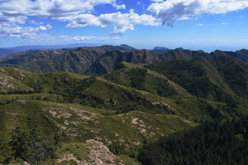 山