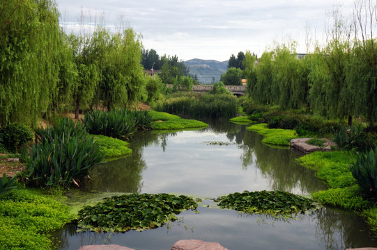 乡村河道治理