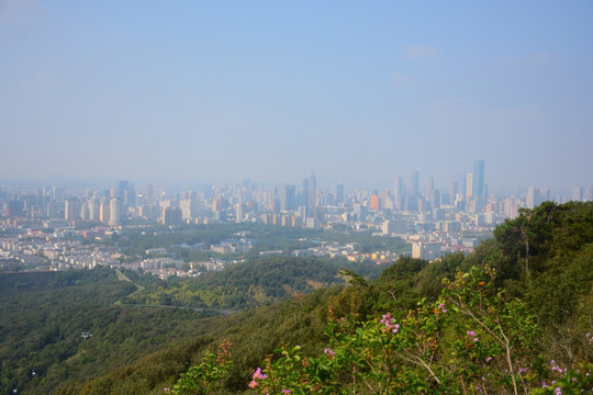 紫金山远眺