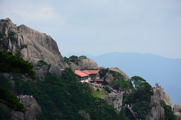 黄山迎客松