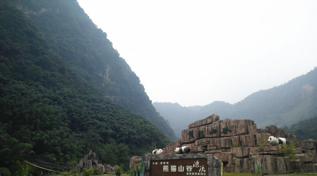 高山植被