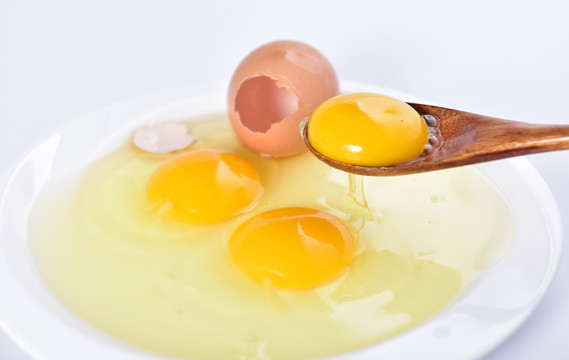 蛋黄蛋清蛋白