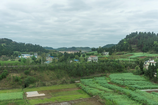 稻田村庄