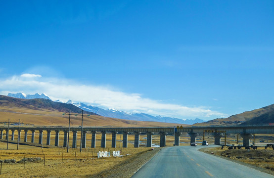 青藏铁路高架桥