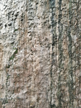 混凝土石头水泥墙纹理背景