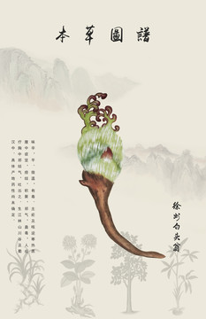 中草药