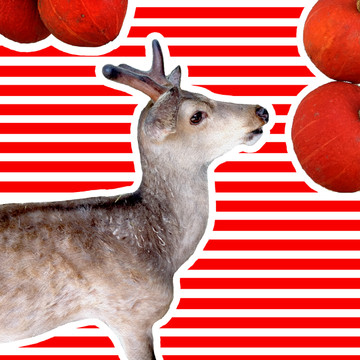 圣诞节欧洲麋鹿海报装饰画