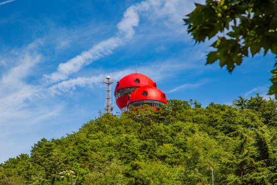 青岛信号山