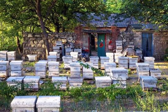 农家养蜂场