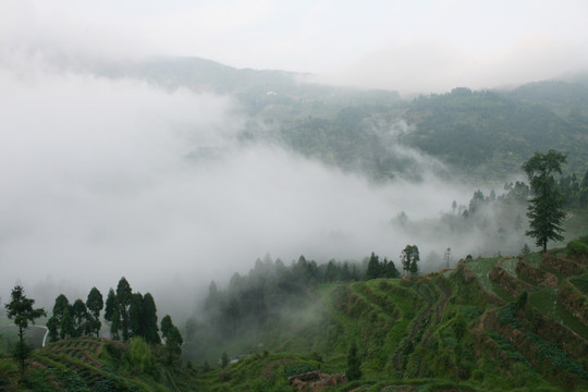 云雾缭绕的山区