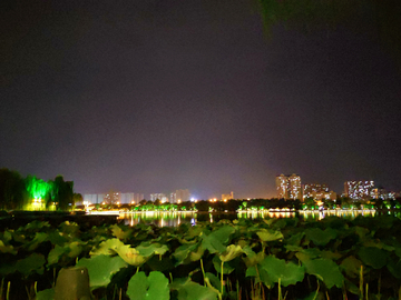 大明湖夜景