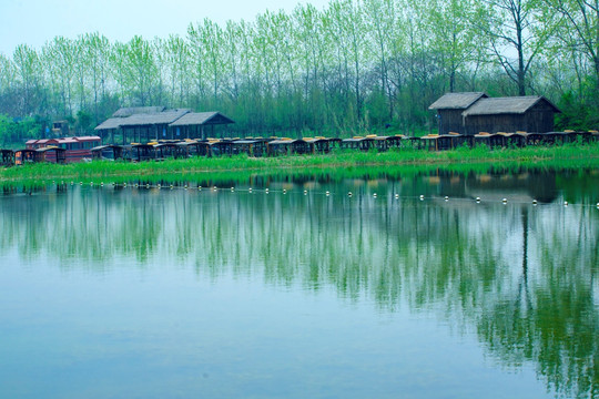 江苏溱湖湿地