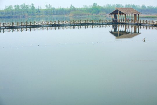 溱湖湿地