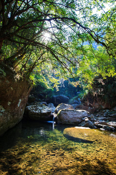 山水