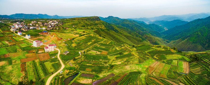 兰田山