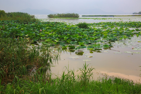 东钱湖