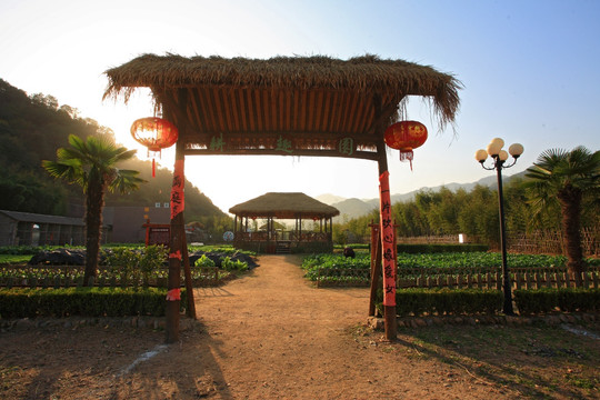 户外风景