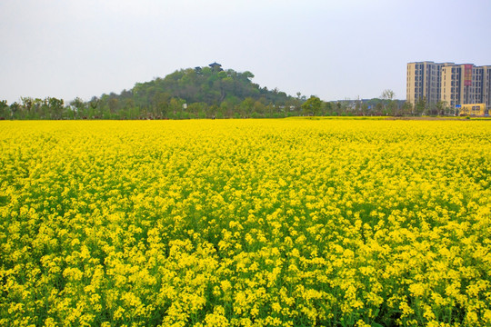 宁波,乡村,农村,城镇