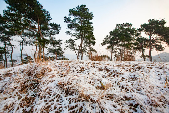 户外雪景