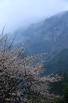 青山绿水