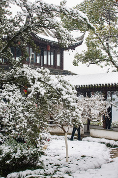 雪景