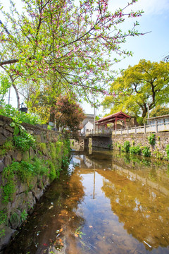 户外风景