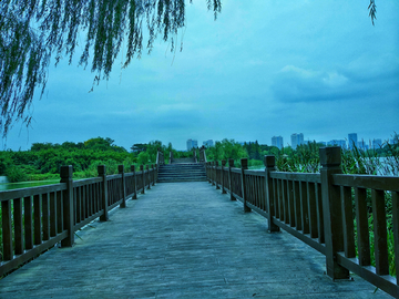 无锡渤公岛 生态湿地公园风景