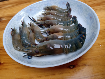虾