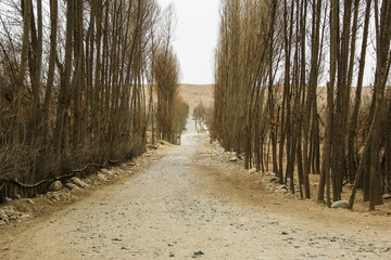 于田农村