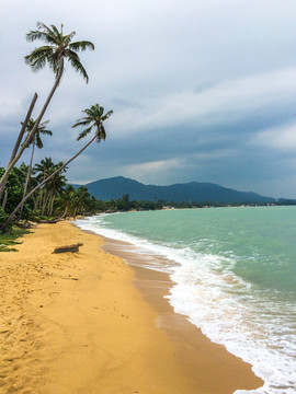 椰风海滩