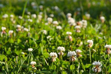 繁星点点