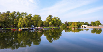 秋景树林风景