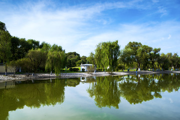 公园秋色绿树湖水