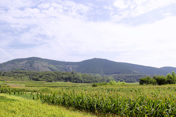 山村秋天