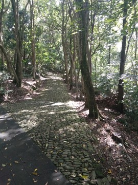 山间小道
